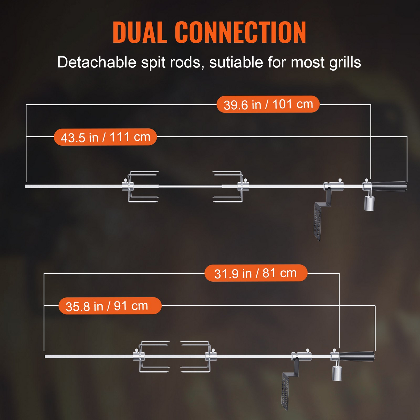 72466681