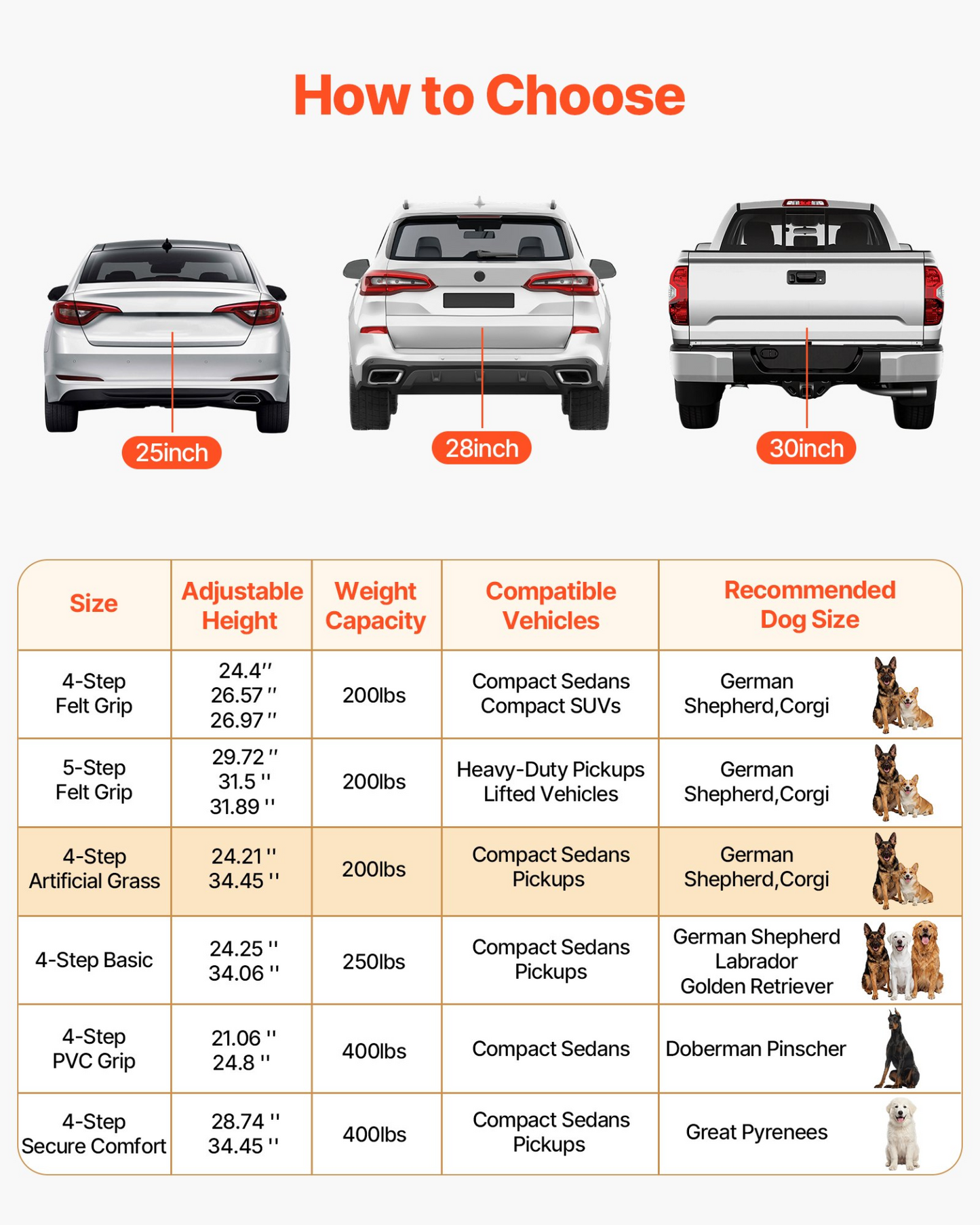 80729694