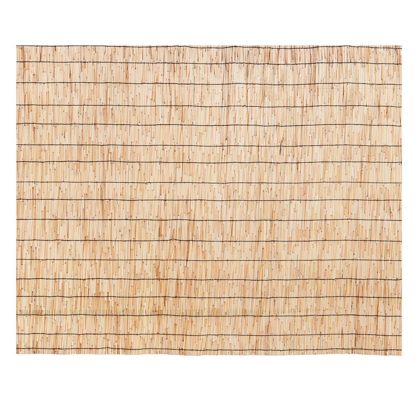 72600096