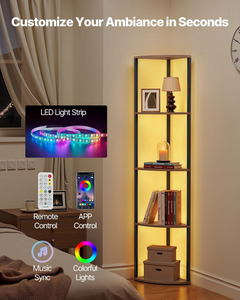 Lighting & Ceiling fans