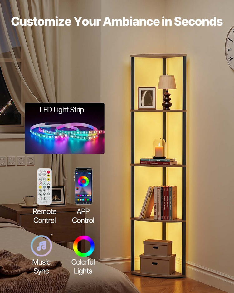 Lighting & Ceiling fans