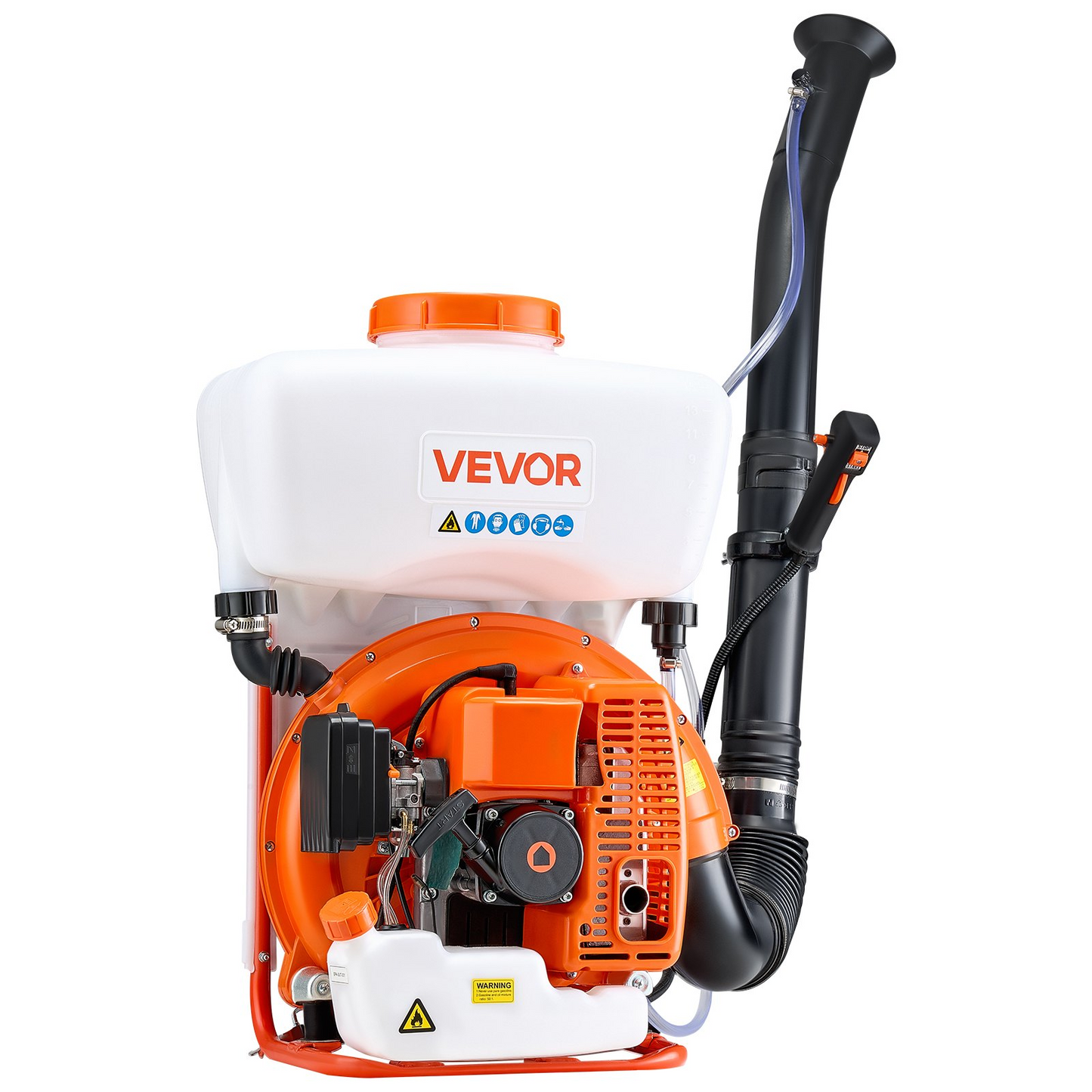 82818082