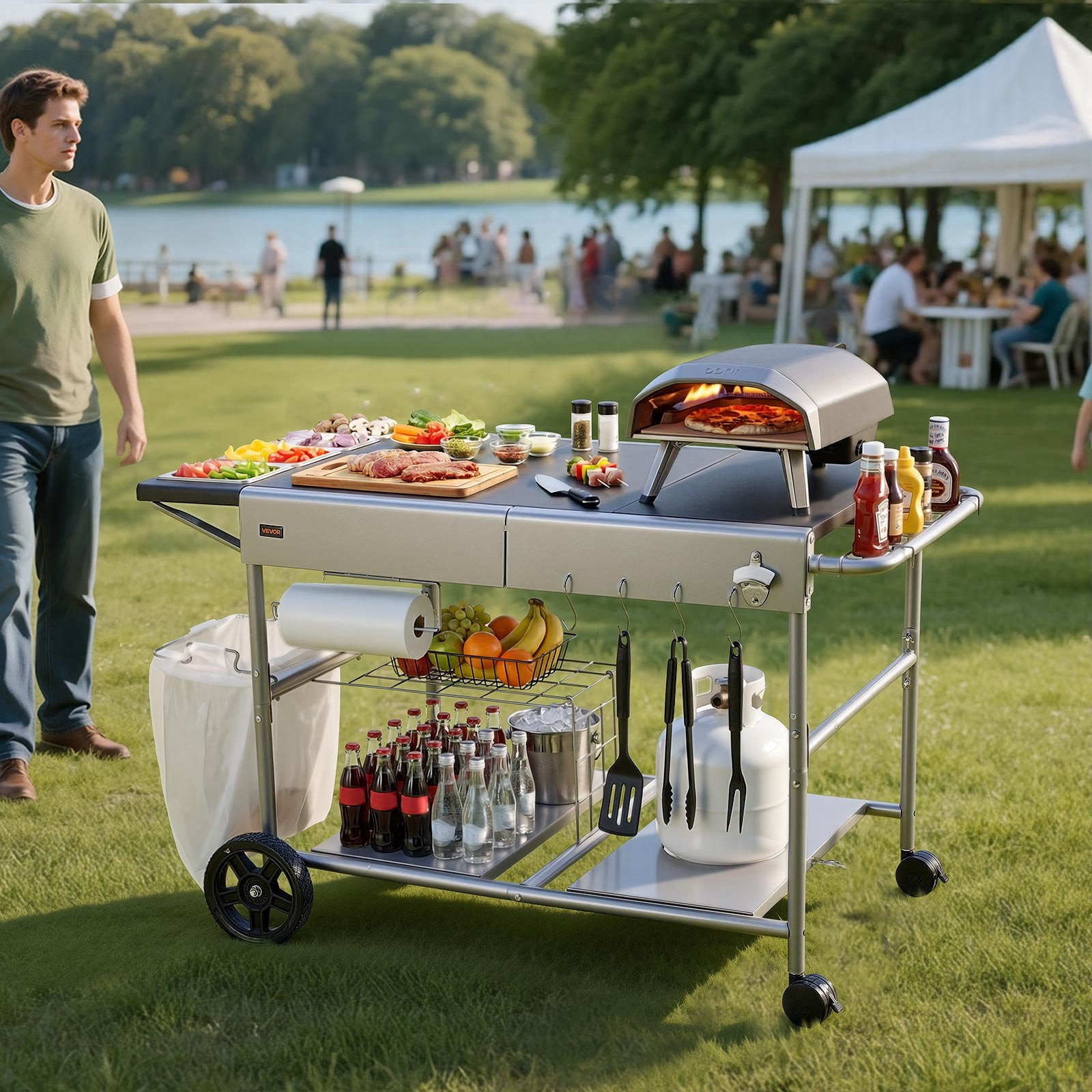 78650162