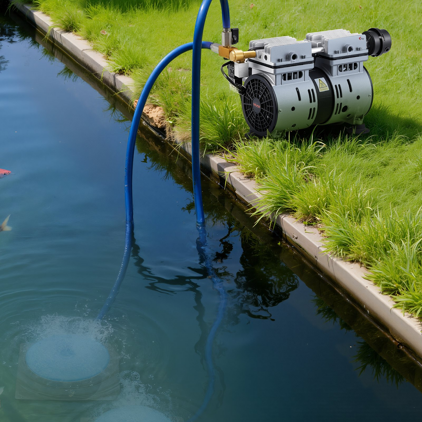 78649701