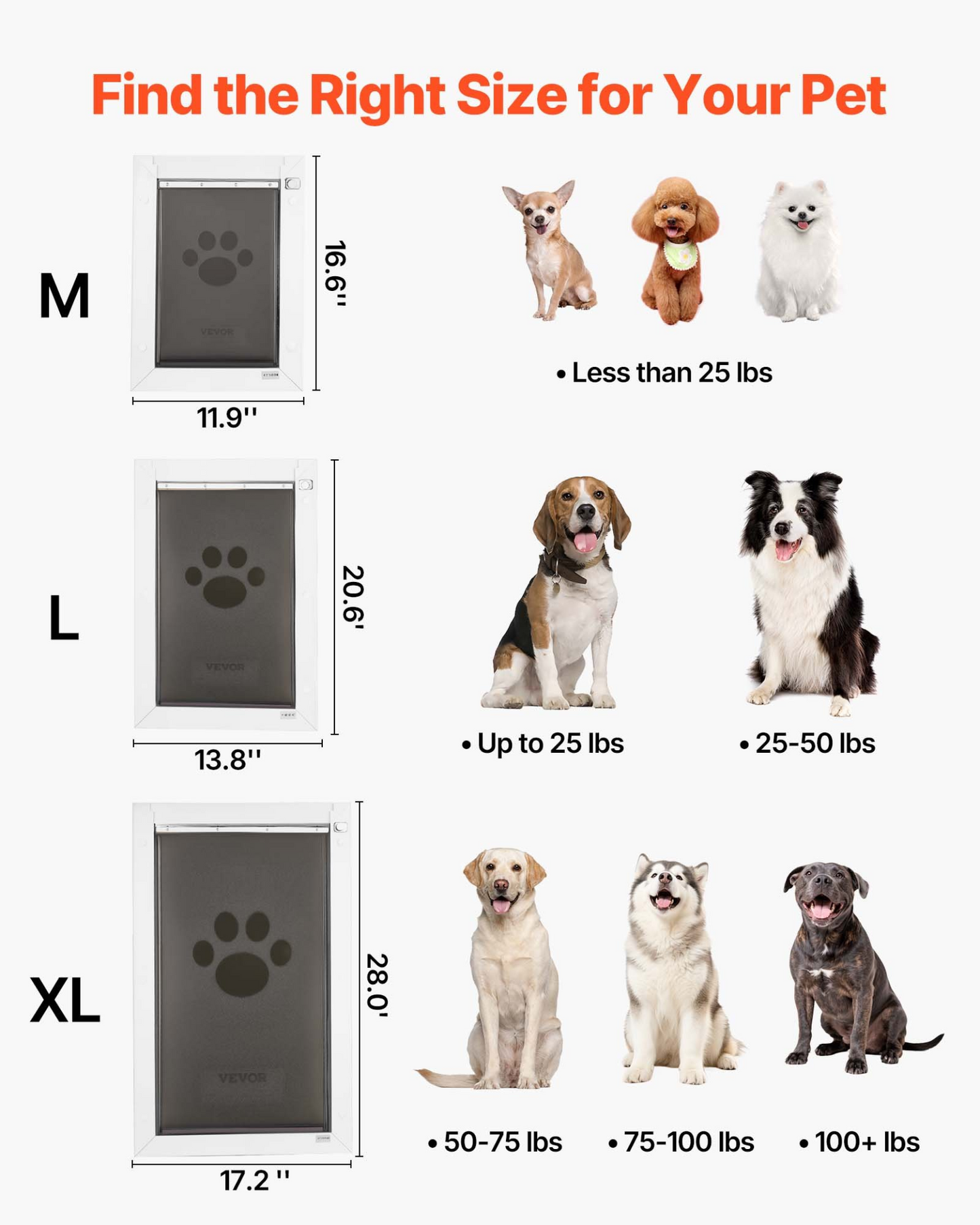 78749700