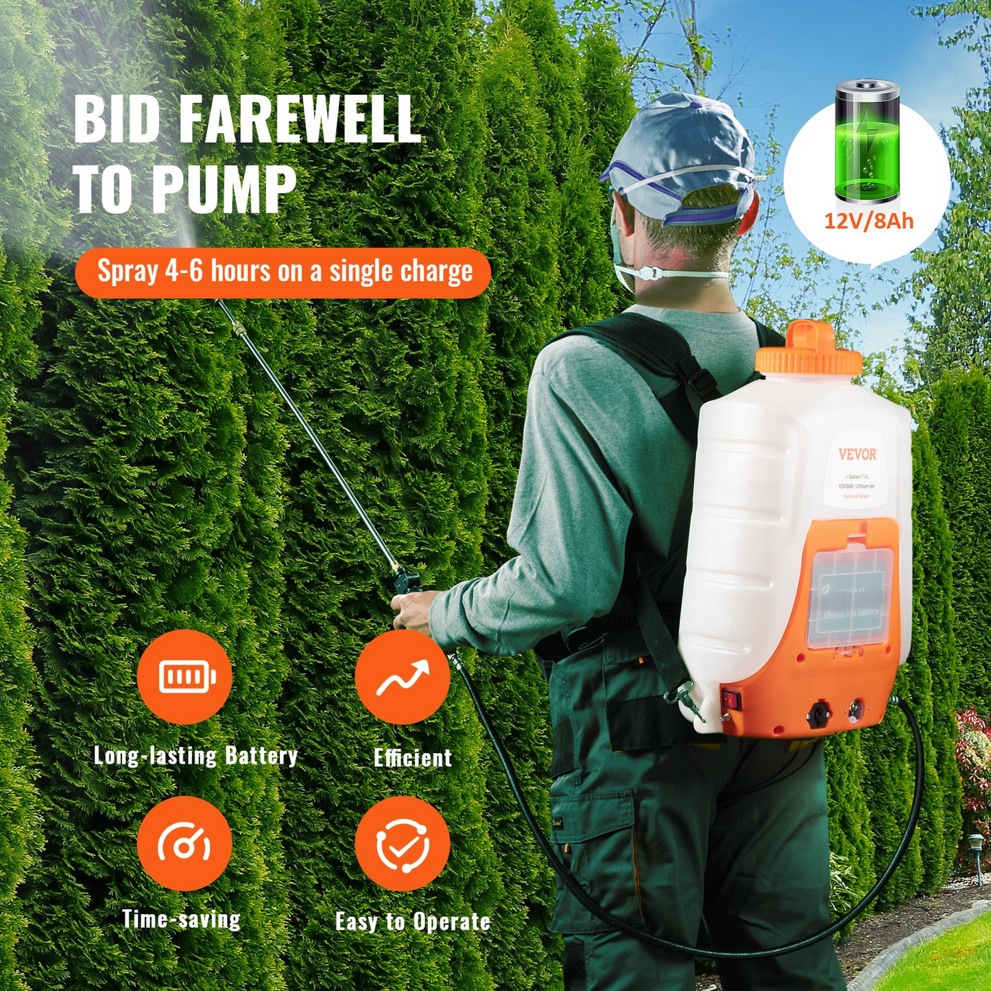 78803018