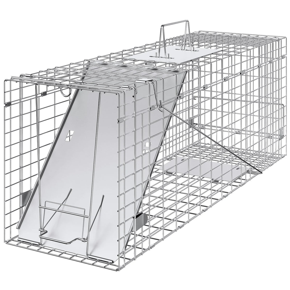 77246236