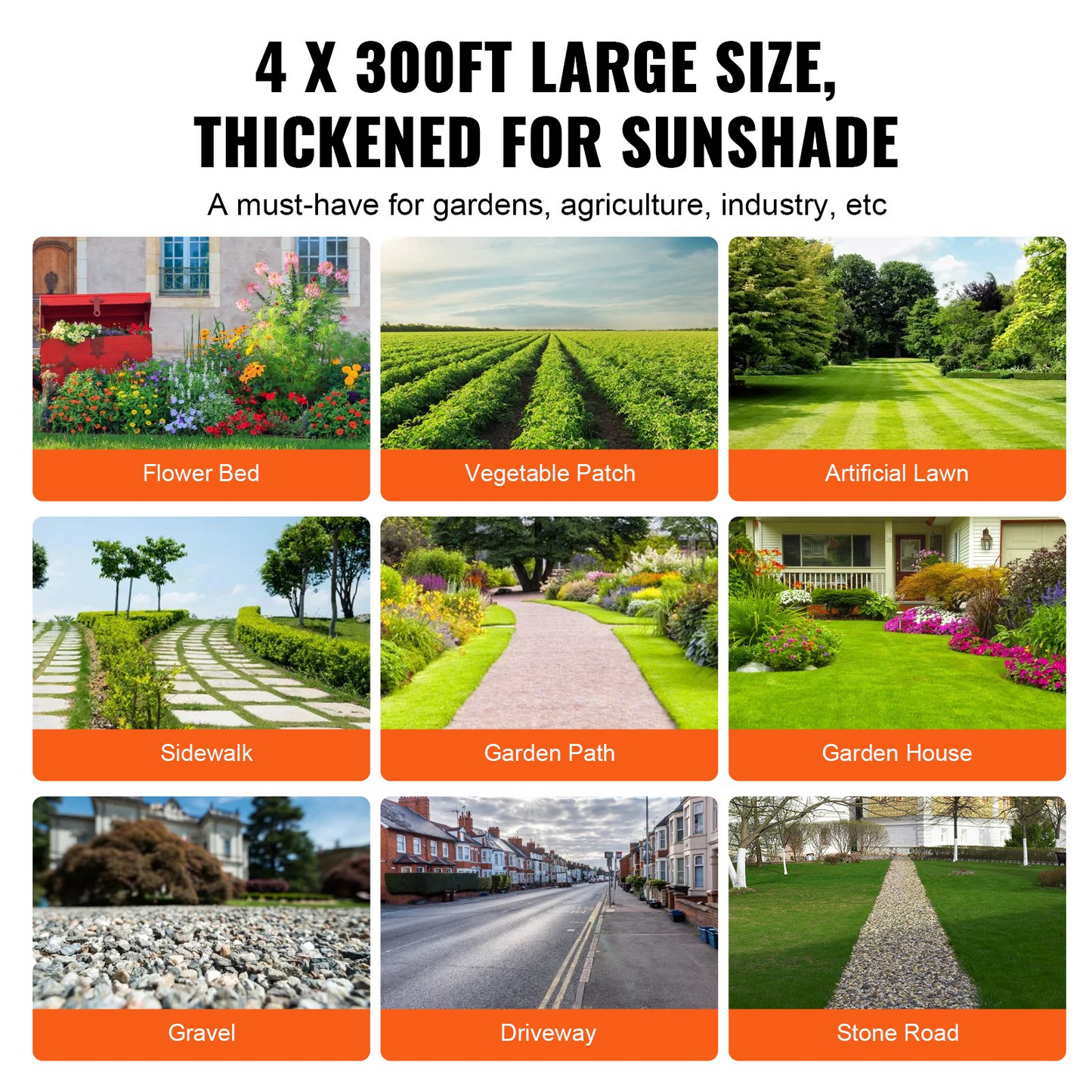 65204923
