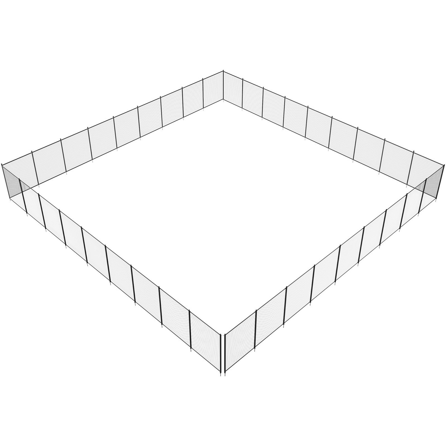 79560017