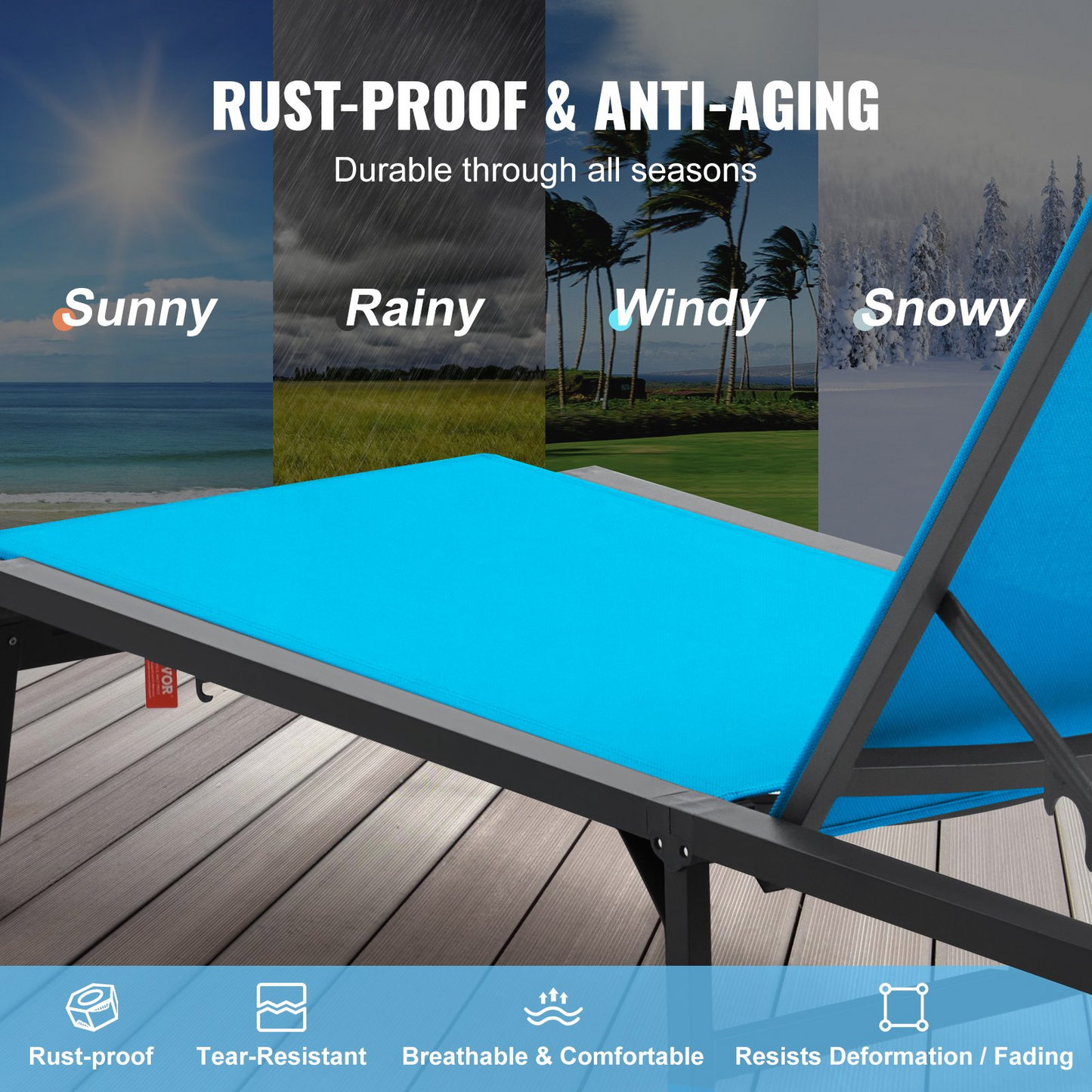 81563691