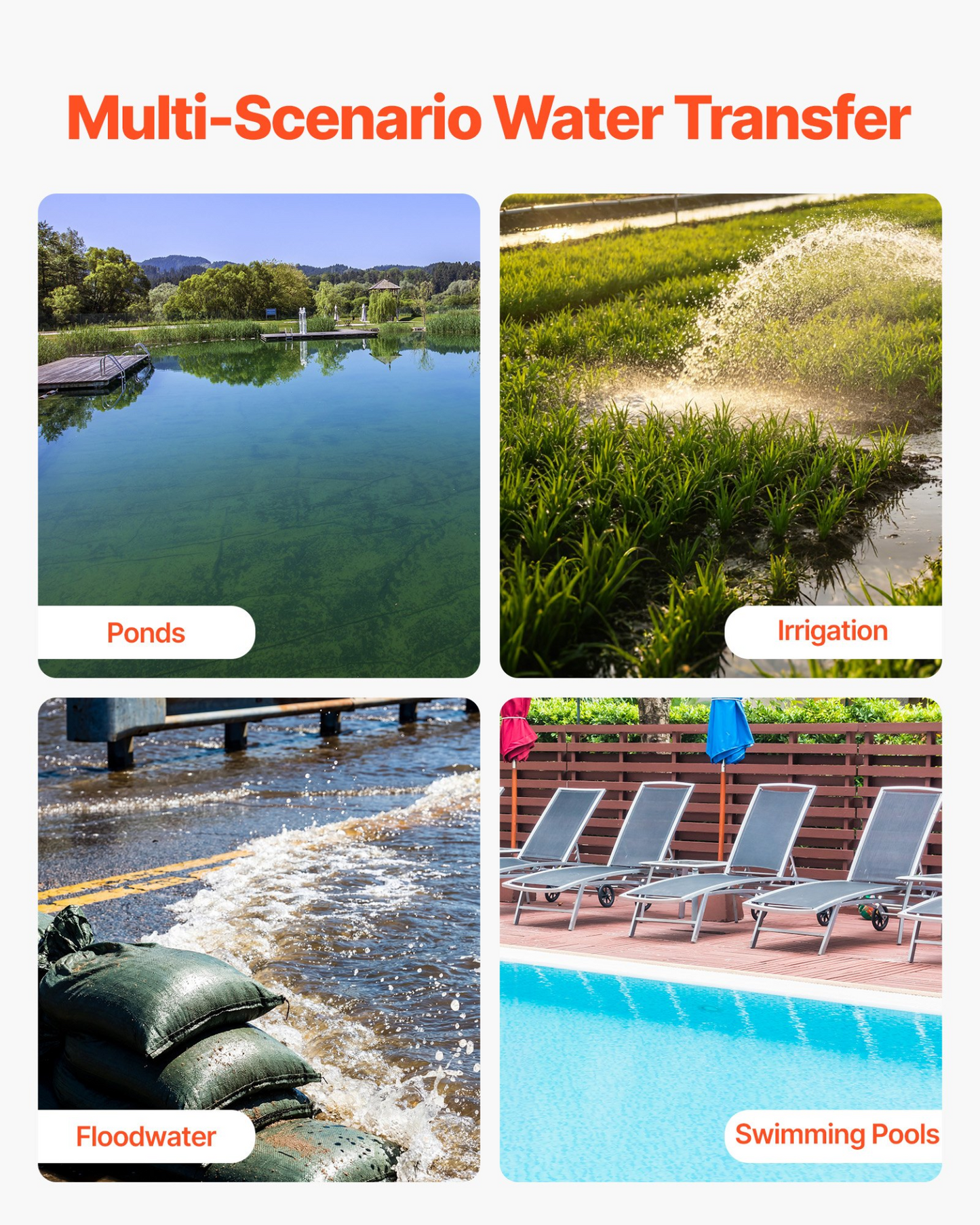 81279705