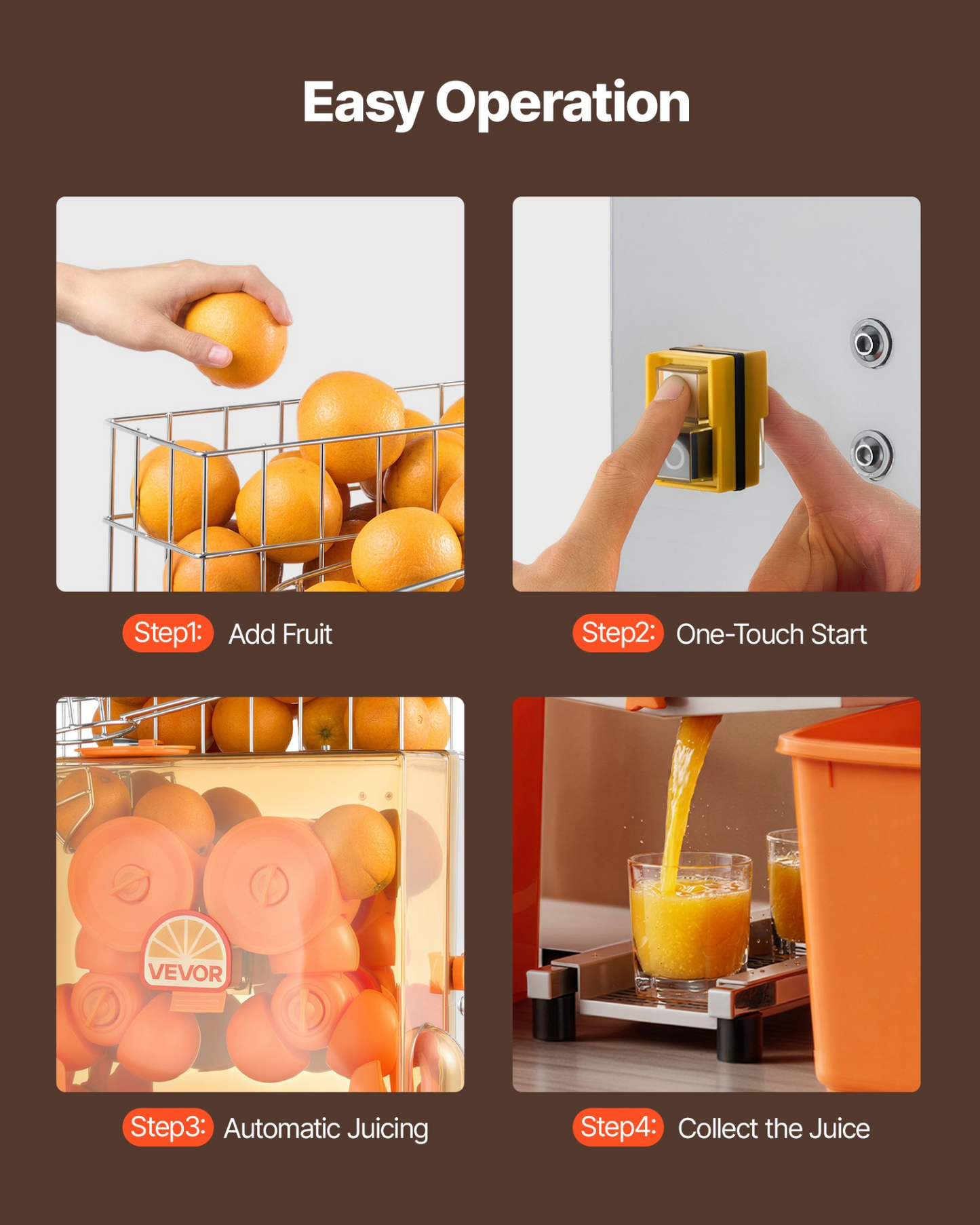 81651765