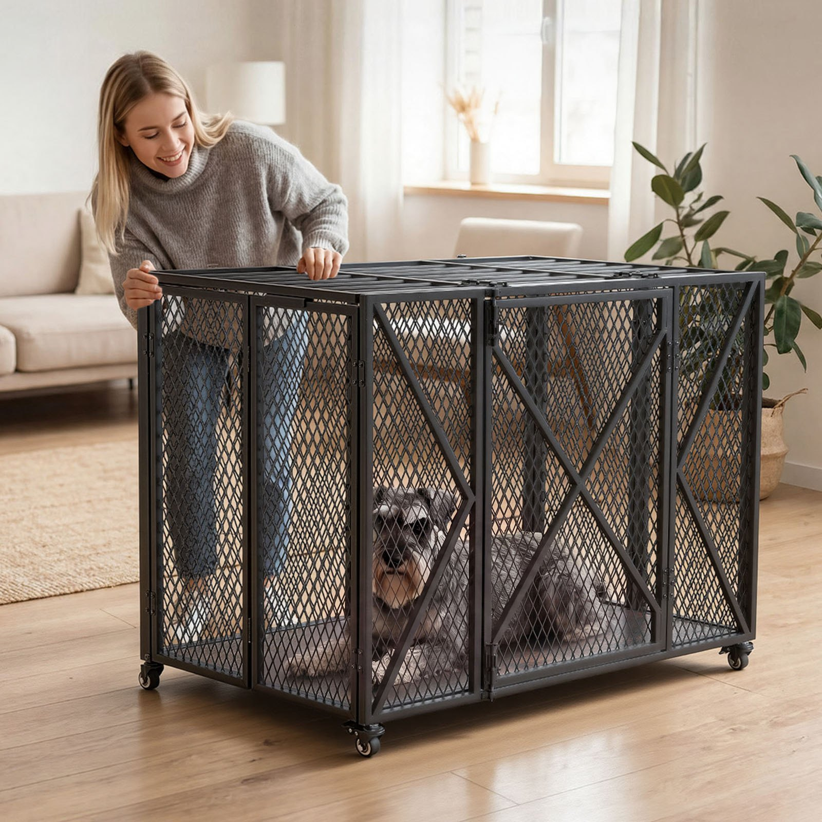 81651557