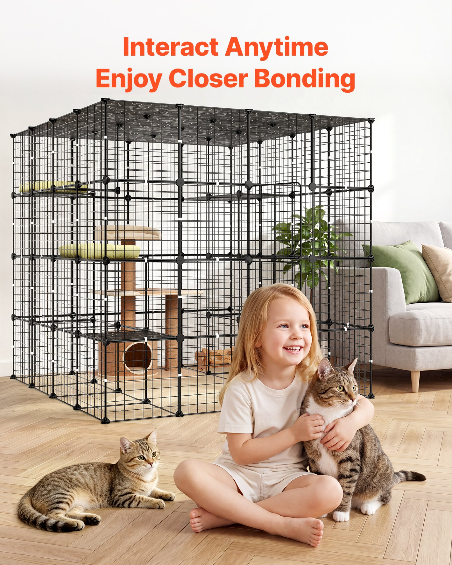 81889237