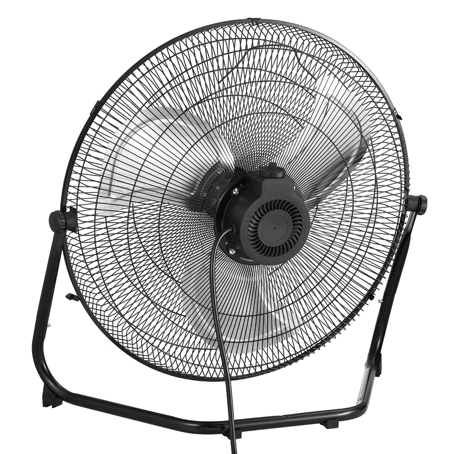 81266916