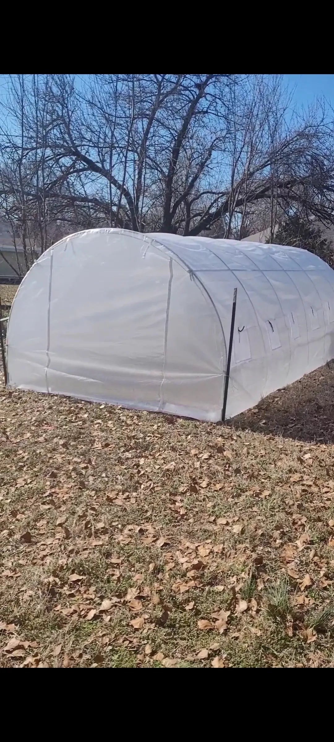 VEVOR 15x6.5x7 ft Walk-in Tunnel Greenhouse, Portable Plant Hot House with Steel Frame & Roll-up Windows, White