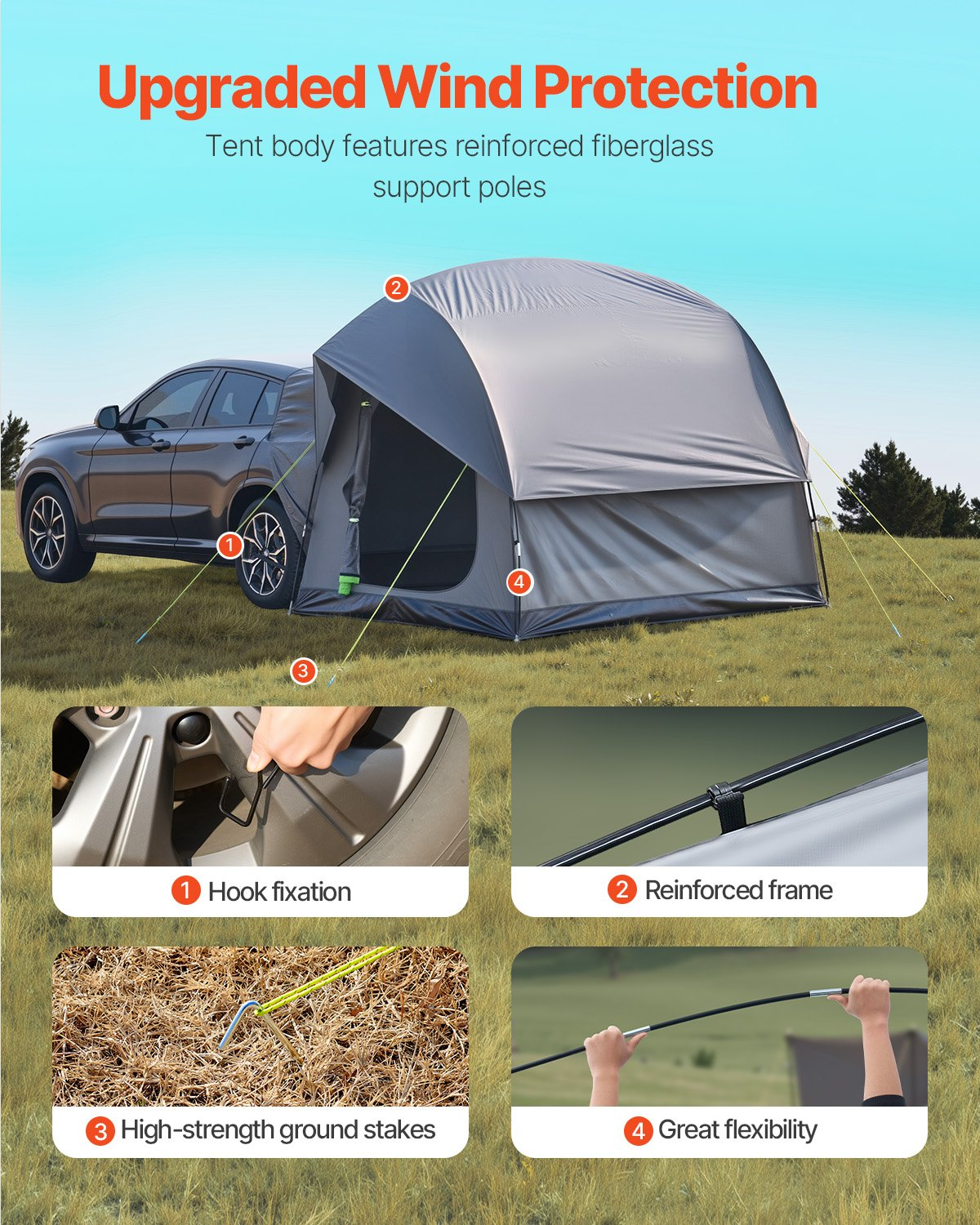79559061